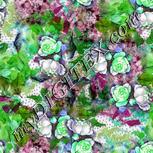 Colour:C