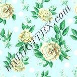 Colour:K