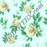 Colour:K