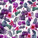 Colour:B
