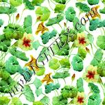 Colour:K
