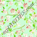 Colour:K