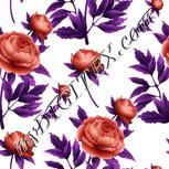 Colour:B