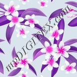 Colour:B