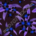 Colour:F