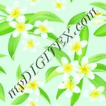 Colour:K