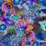 Colour:F