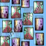 Colour:K