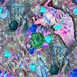 Colour:F