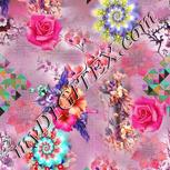 Colour:B