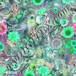 Colour:C