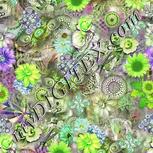 Colour:D