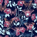 Colour:F