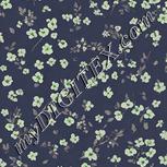 Colour:D