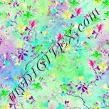 Colour:C