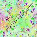 Colour:D