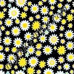 Colour:A