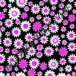 Colour:B