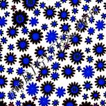 Colour:F