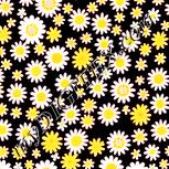 Colour:J