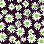 Colour:D