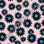 Colour:F