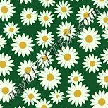 Colour:K