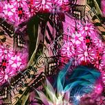Colour:B