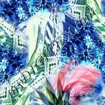 Colour:F