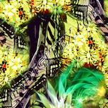Colour:K