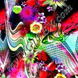 Colour:B