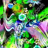 Colour:D