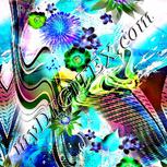 Colour:F