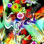 Colour:K