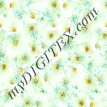 Colour:K