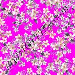 Colour:B