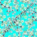 Colour:C