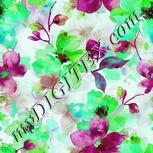 Colour:C