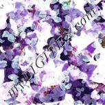 Colour:B