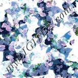 Colour:C