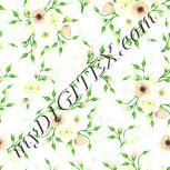 Colour:K