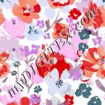 Colour:B