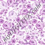 Colour:B