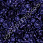 Colour:F