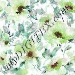 Colour:C