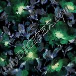 Colour:F