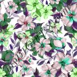 Colour:C