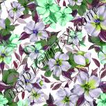 Colour:D