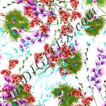 Colour:B