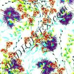 Colour:K